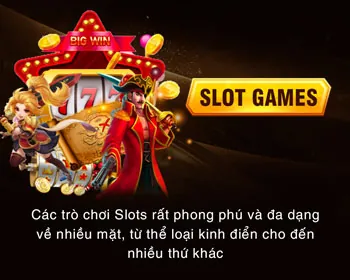 Dữ liệu cá nhân được thu thập